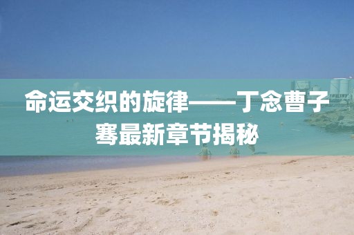 命運交織的旋律——丁念曹子騫最新章節揭秘