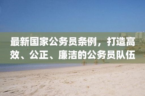 最新國家公務員條例，打造高效、公正、廉潔的公務員隊伍