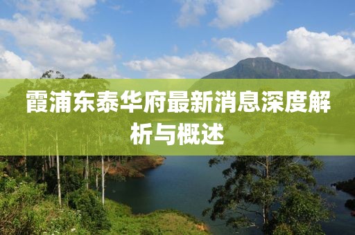 霞浦東泰華府最新消息深度解析與概述