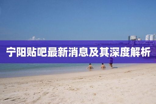 寧陽貼吧最新消息及其深度解析