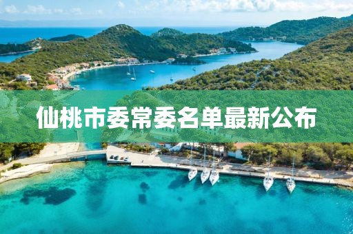 仙桃市委常委名單最新公布