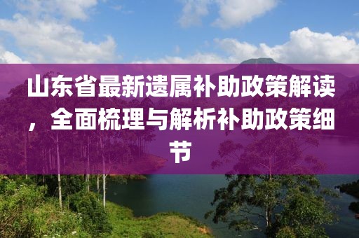 山東省最新遺屬補助政策解讀，全面梳理與解析補助政策細節