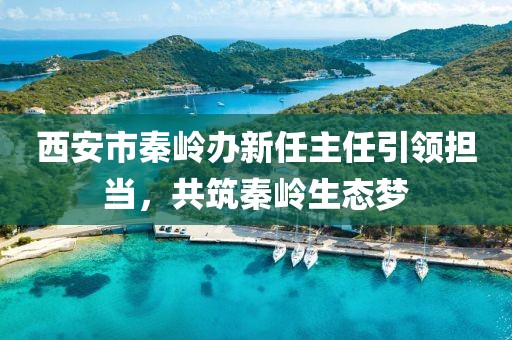 西安市秦嶺辦新任主任引領擔當，共筑秦嶺生態夢