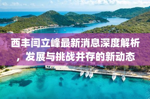 西豐閆立峰最新消息深度解析，發(fā)展與挑戰(zhàn)并存的新動態(tài)