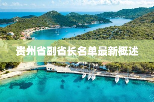 貴州省副省長名單最新概述