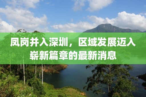 鳳崗并入深圳，區(qū)域發(fā)展邁入嶄新篇章的最新消息