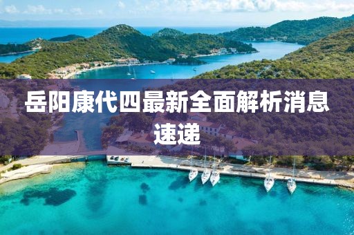 岳陽(yáng)康代四最新全面解析消息速遞