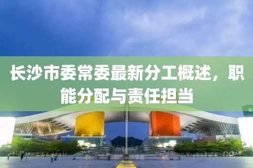 長沙市委常委最新分工概述，職能分配與責任擔當