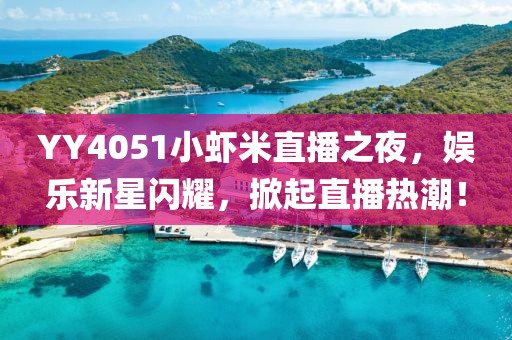 YY4051小蝦米直播之夜，娛樂新星閃耀，掀起直播熱潮！