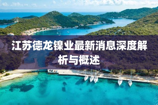 江蘇德龍鎳業(yè)最新消息深度解析與概述