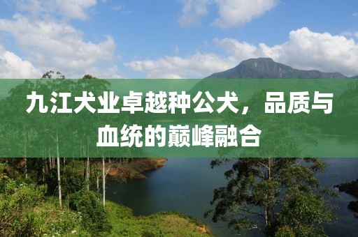 九江犬業卓越種公犬，品質與血統的巔峰融合