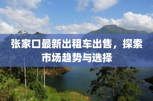 張家口最新出租車出售，探索市場趨勢與選擇