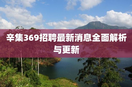 辛集369招聘最新消息全面解析與更新