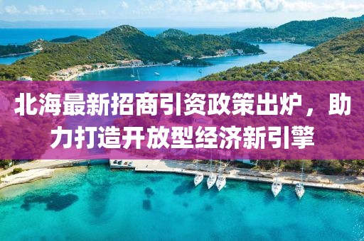 北海最新招商引資政策出爐，助力打造開放型經(jīng)濟新引擎