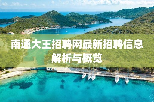 南通大王招聘網最新招聘信息解析與概覽