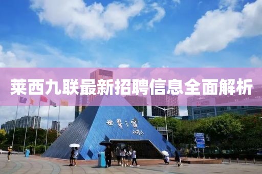 萊西九聯最新招聘信息全面解析