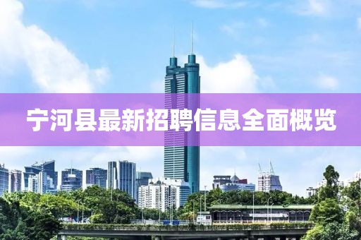 寧河縣最新招聘信息全面概覽