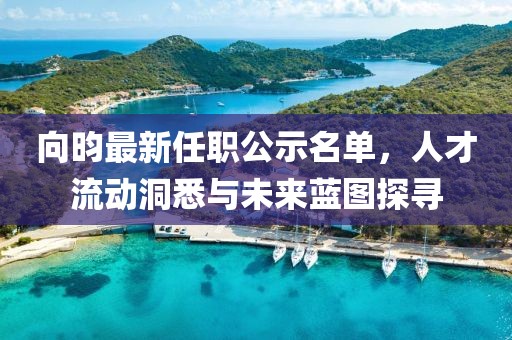 向昀最新任職公示名單，人才流動洞悉與未來藍圖探尋