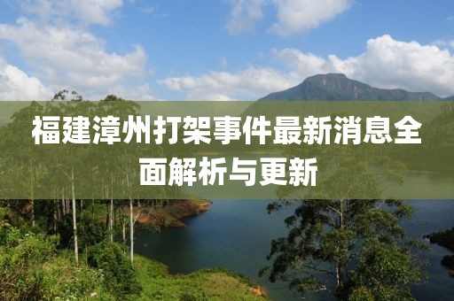 福建漳州打架事件最新消息全面解析與更新