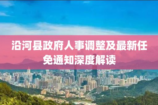 沿河縣政府人事調整及最新任免通知深度解讀