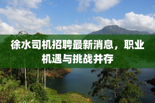 徐水司機招聘最新消息，職業機遇與挑戰并存