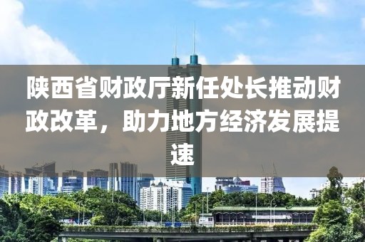 陜西省財政廳新任處長推動財政改革，助力地方經濟發展提速