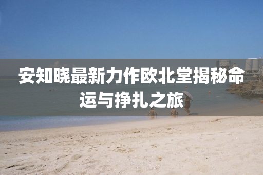 安知曉最新力作歐北堂揭秘命運(yùn)與掙扎之旅