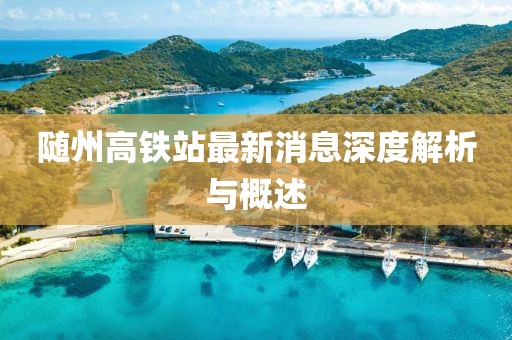 隨州高鐵站最新消息深度解析與概述