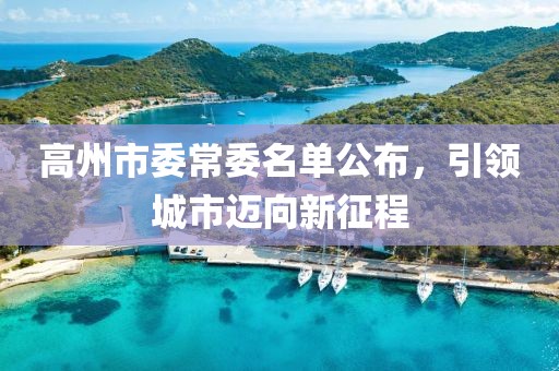 高州市委常委名單公布，引領城市邁向新征程