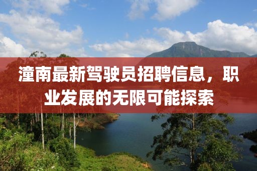 潼南最新駕駛員招聘信息，職業發展的無限可能探索