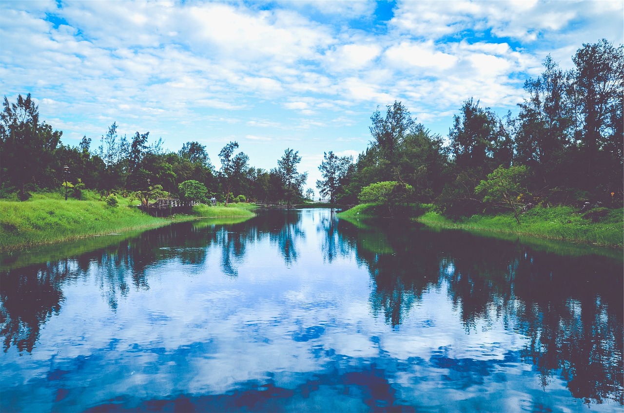 韓國(guó)薩德最新動(dòng)態(tài)，全球關(guān)注下的焦點(diǎn)事件分析視頻揭秘最新消息