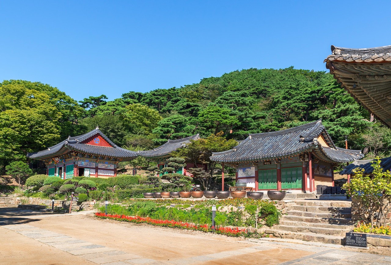 廣饒四季花城，繁榮盛景與未來期待揭秘