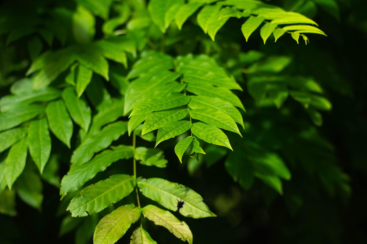 北海水印泉山最新動態(tài)，城市發(fā)展與綠色生態(tài)的和諧共鳴