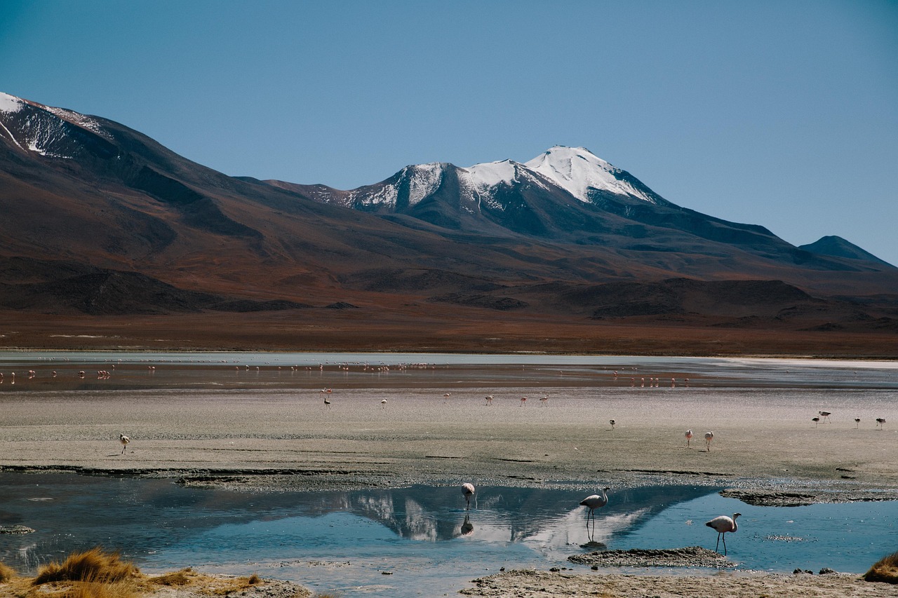 聽見涼山最新季第二集，探索與成長的旅程